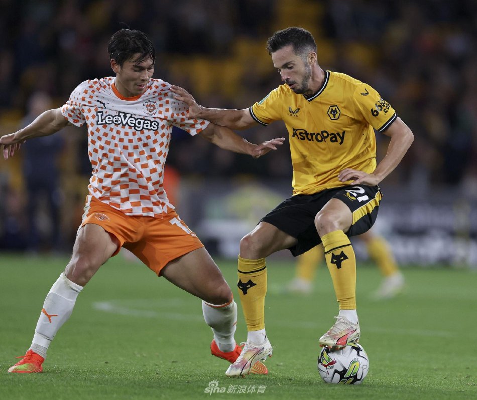 他的成功为 他的成功为