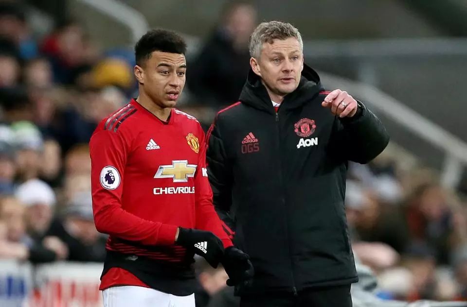 广告投资已 广告投资已